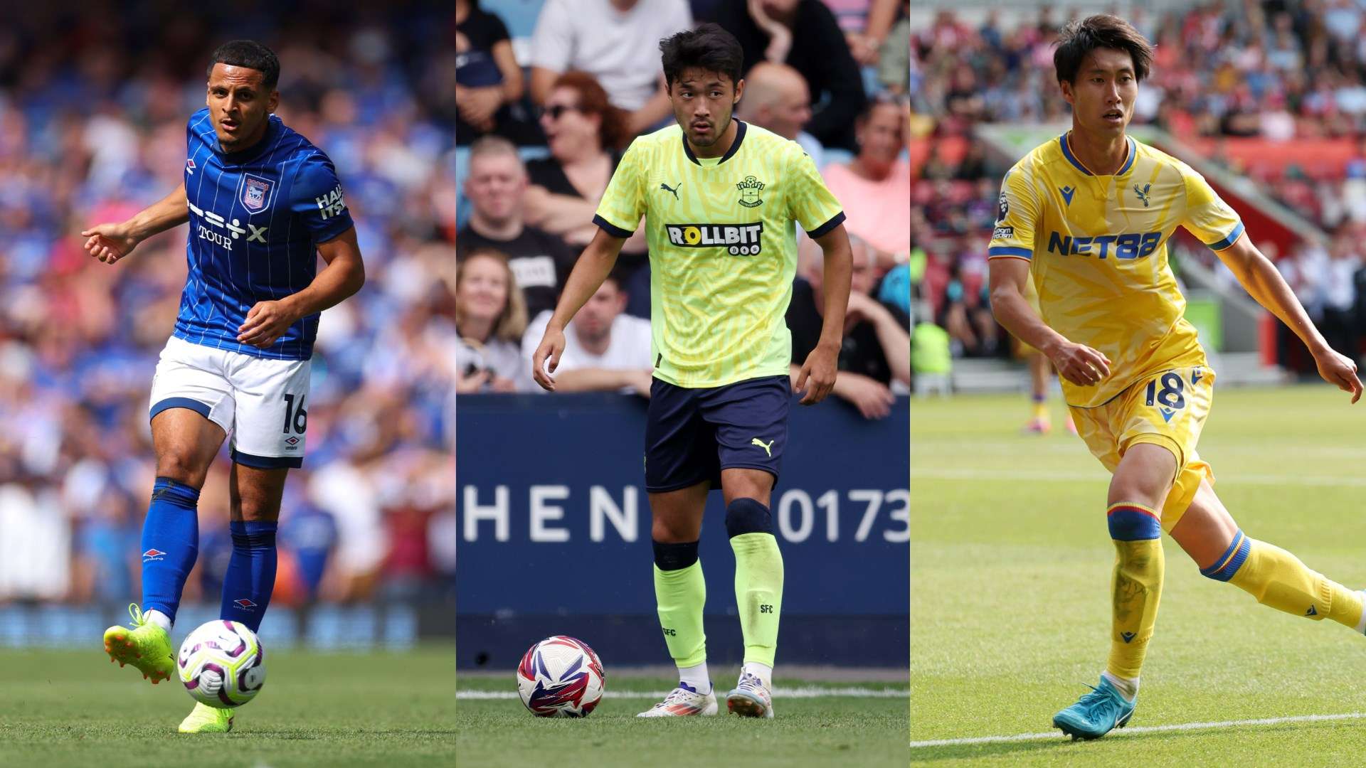 不仅是她个 不仅是她个