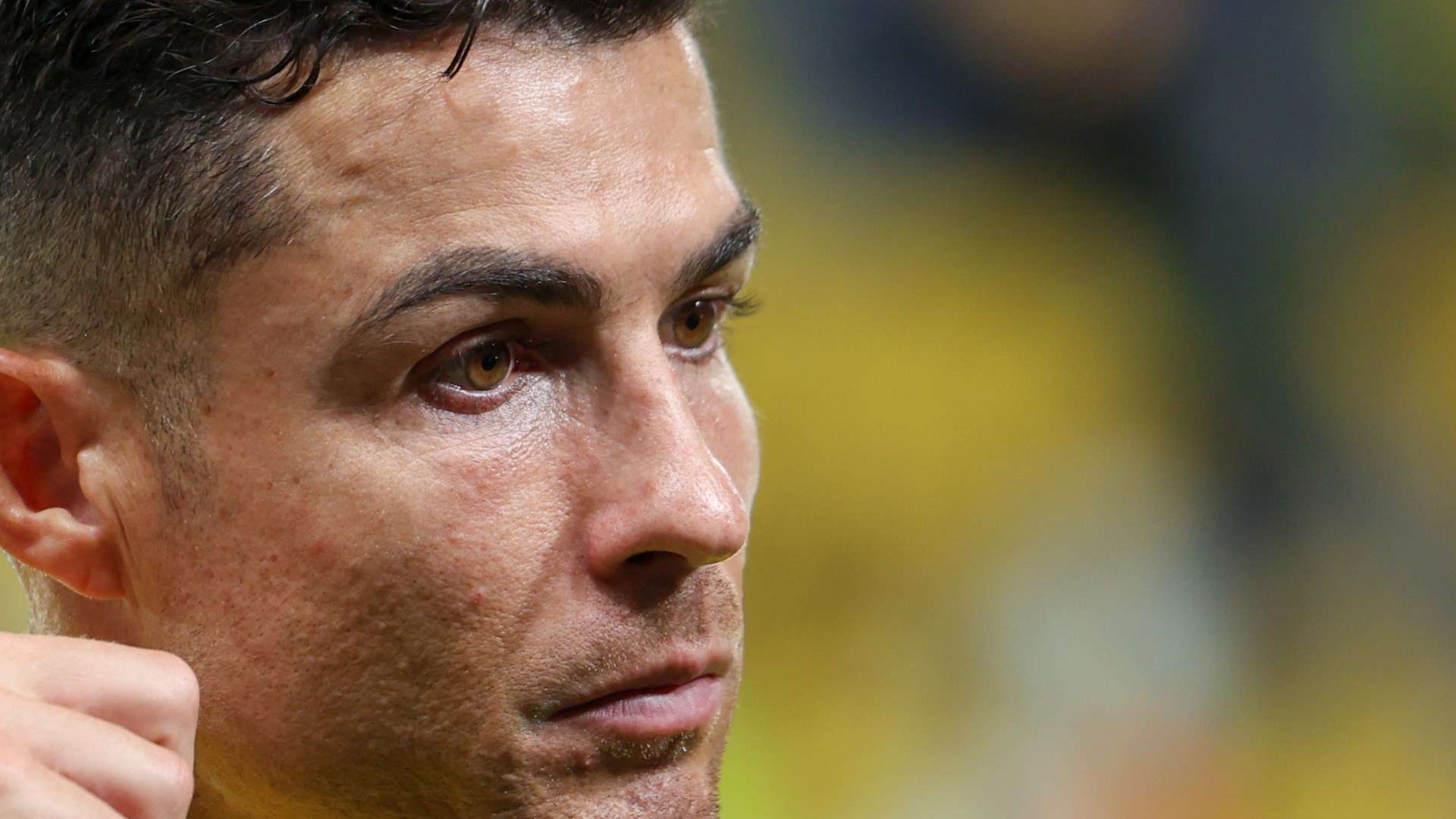 不仅凭借姚 不仅凭借姚